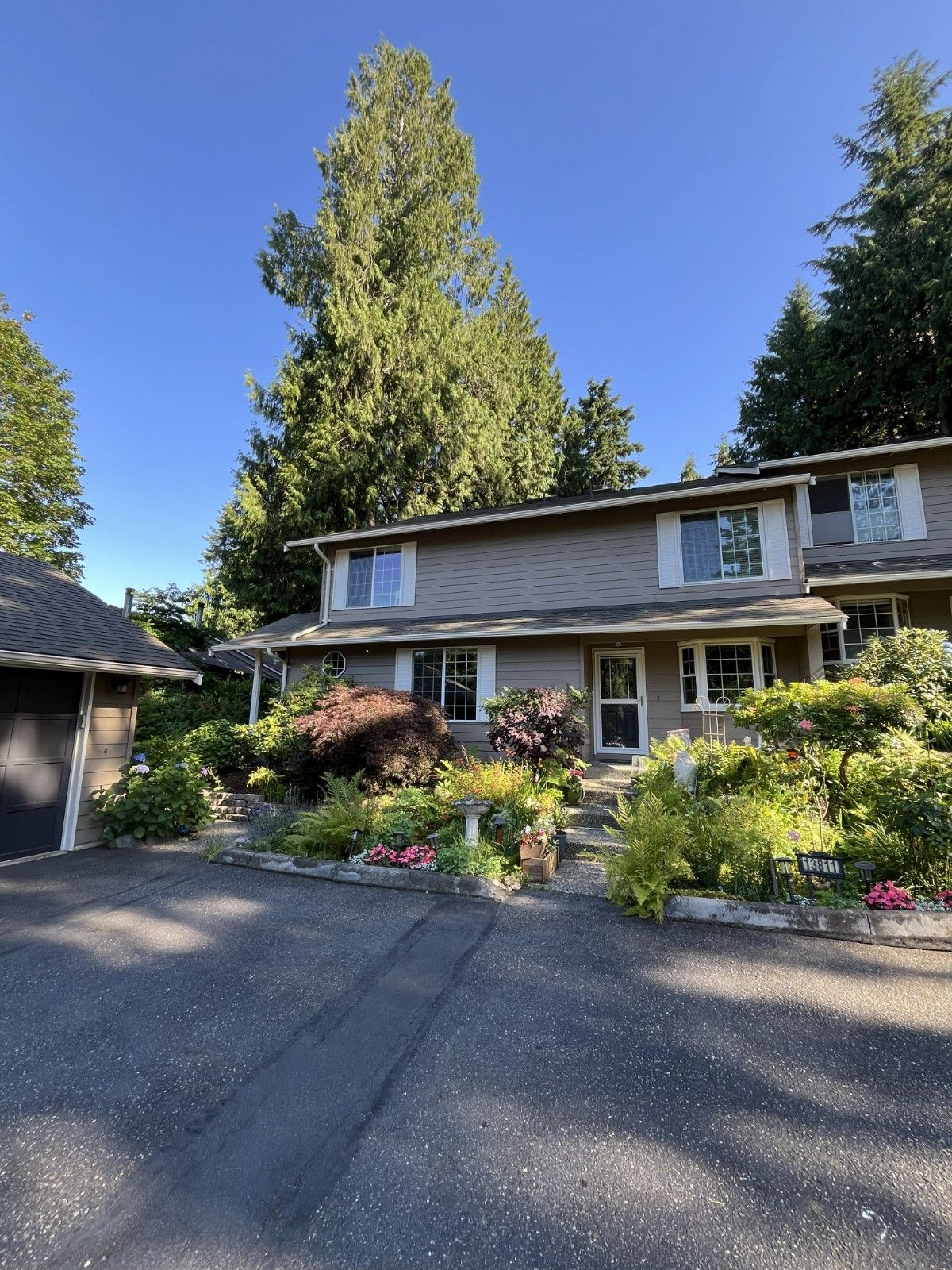 Professional Home Painting Services Near Your Area