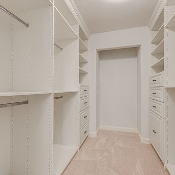 Cabinets Painting