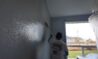 maple-valley-interior-painting-crew-rolling-accent-wall